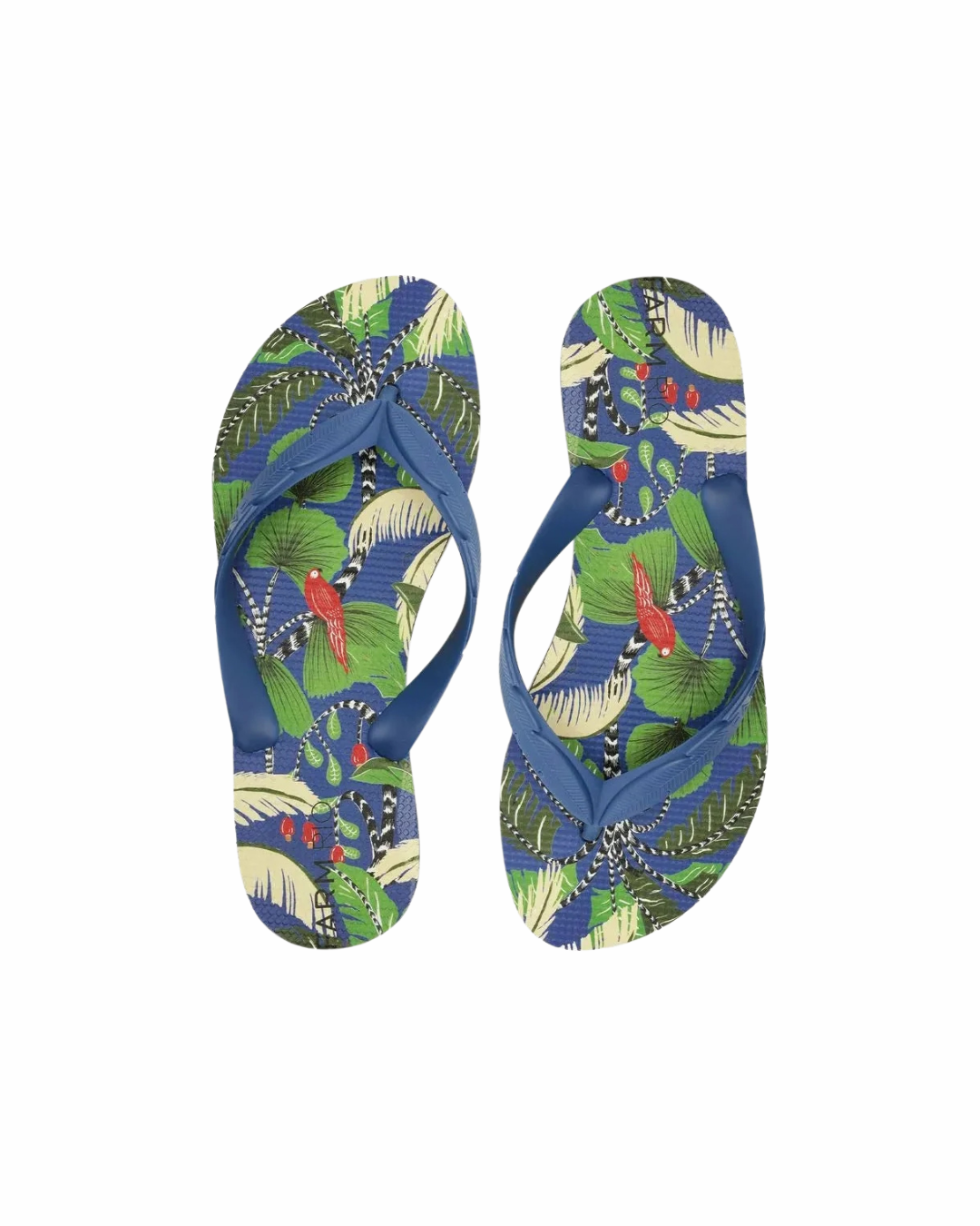 Farm Rio Chinelo Rainbow - Arara Floral